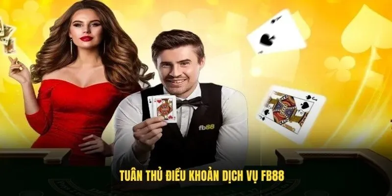 Tuân thủ điều khoản dịch vụ FB88